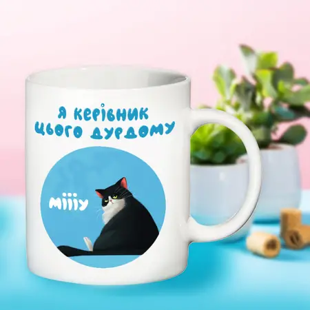 Чашка Я керівник цього дурдому укр 07763