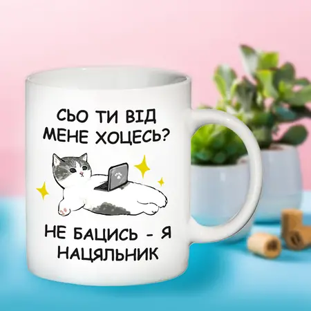 Чашка Для нацяльника 330 мл. кольорова