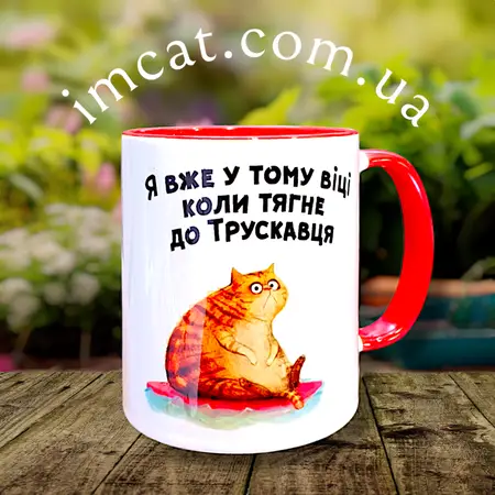 Чашка тягне до Трускавця 330мл