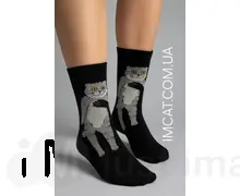 Шкартпетки креативні LoveCats р.36-41 SKP-002