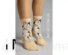 Шкартпетки креативні LoveCats р.36-41 SKP-003