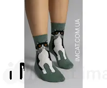 Шкартпетки креативні LoveCats р.36-41 SKP-004