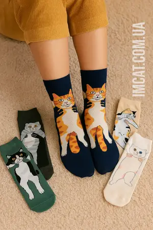 Шкартпетки креативні LoveCats р.36-41 SKP-004