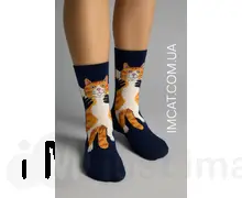 Шкартпетки креативні LoveCats р.36-41 SKP-005