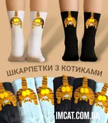 Шкарпетки