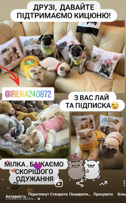Фотовідгук 21