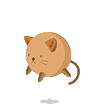 scroll to top